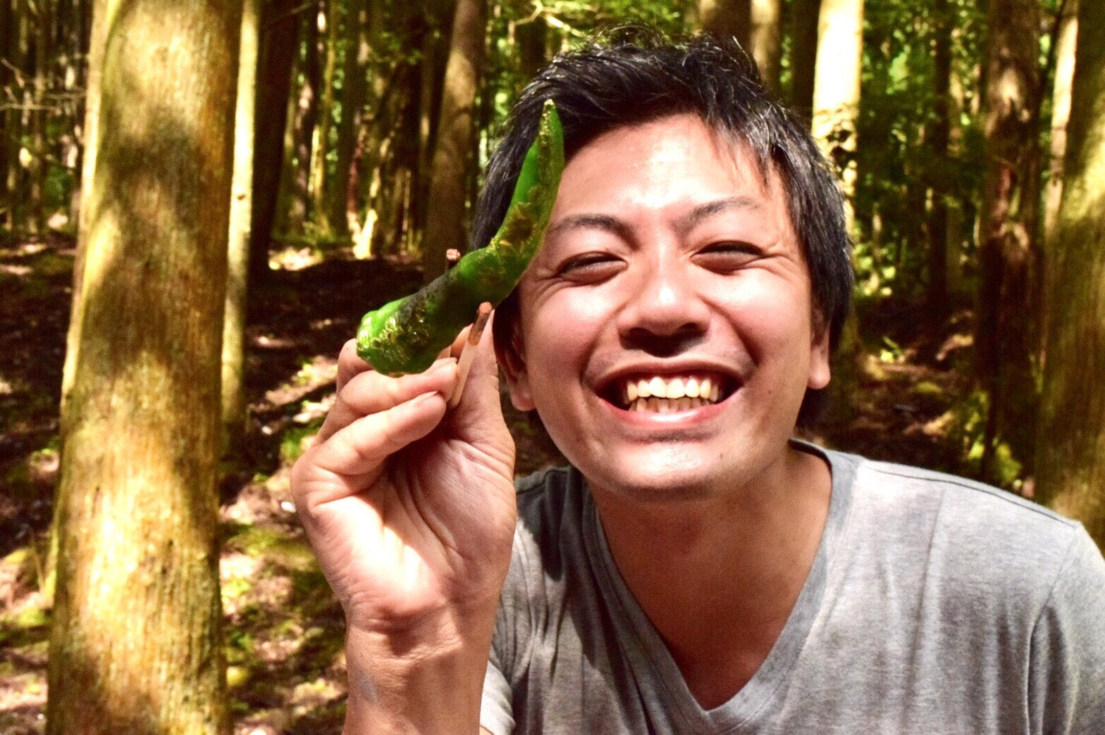 【期間限定】万願寺とうがらし 1kg